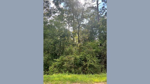 Dayton null-story, null-bed 396 County Road 427 Loop-idx