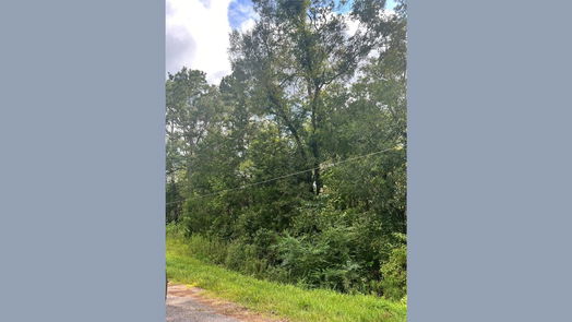 Dayton null-story, null-bed 396 County Road 427 Loop-idx