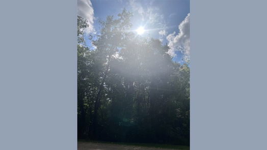 Dayton null-story, null-bed 36 County Road 427 N-idx