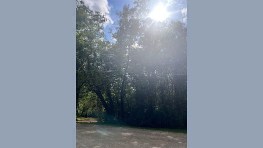 Dayton null-story, null-bed 36 County Road 427 N-idx