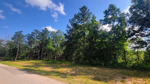 Dayton null-story, null-bed 1049 County Road 6325-idx