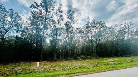 Dayton null-story, null-bed 1049 County Road 6325-idx