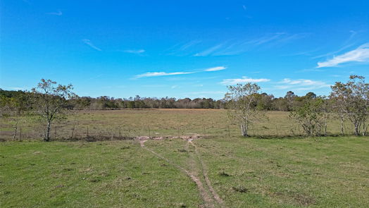 Dayton null-story, null-bed TBD HWY 321 TRACT 1-idx