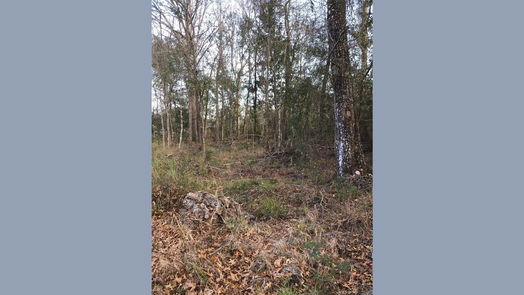 Dayton null-story, null-bed 187 County Road 6606-idx