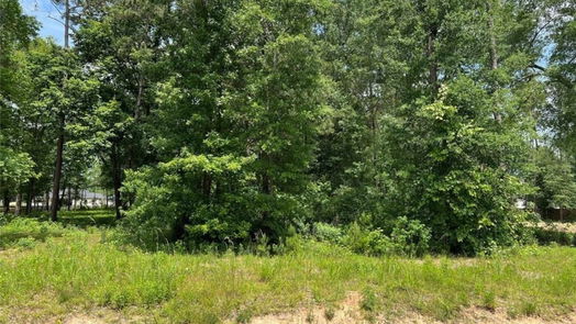 Dayton Lakes null-story, null-bed 1635 Road 66115-idx