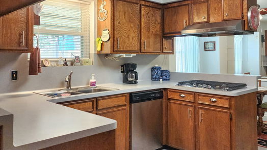 Deer Park 1-story, 3-bed 2025 New Orleans Street-idx