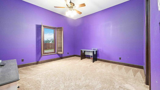Dickinson 1-story, 4-bed 3220 Tallow Forest Street-idx