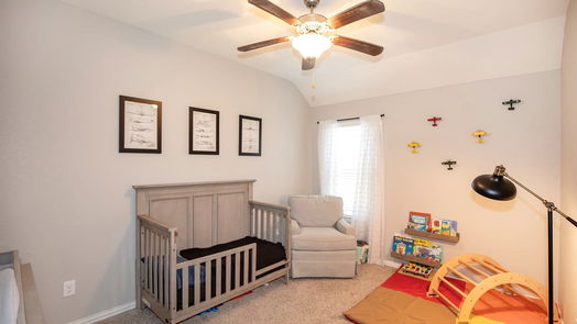 Dickinson null-story, 3-bed 3040 Coreopsis Court-idx