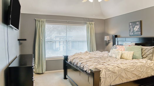 League City 2-story, 3-bed 6517 Canyon Mist Lane-idx