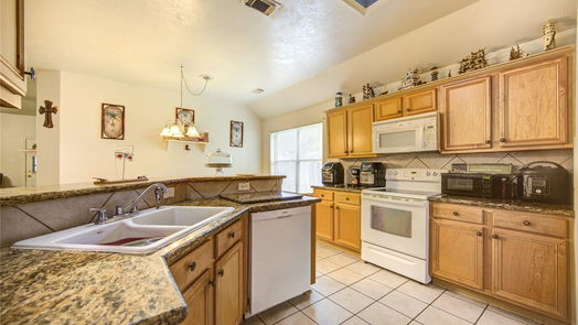 League City null-story, 3-bed 209 Colony Lake Lane-idx