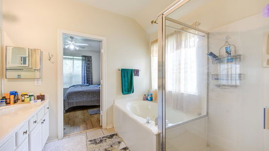League City null-story, 3-bed 209 Colony Lake Lane-idx