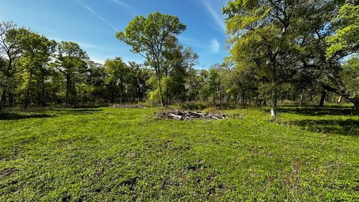 Freeport null-story, null-bed 1405 Brazos River Road-idx