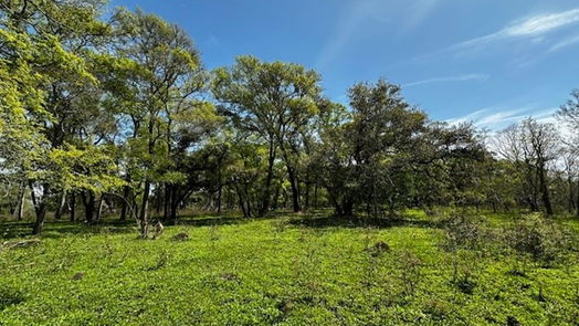 Freeport null-story, null-bed 1405 Brazos River Road-idx