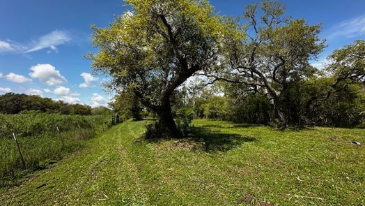 Freeport null-story, null-bed 1405 Brazos River Road-idx