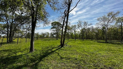 Freeport null-story, null-bed 1405 Brazos River Road-idx