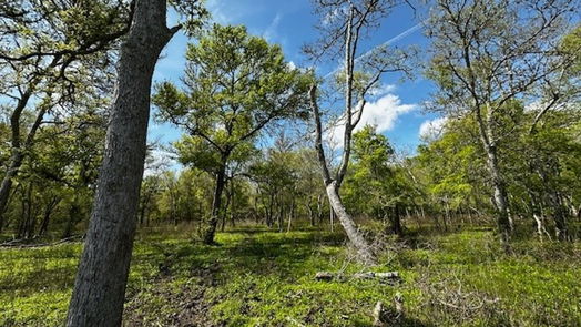 Freeport null-story, null-bed 1405 Brazos River Road-idx