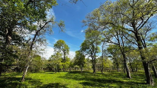 Freeport null-story, null-bed 1405 Brazos River Road-idx