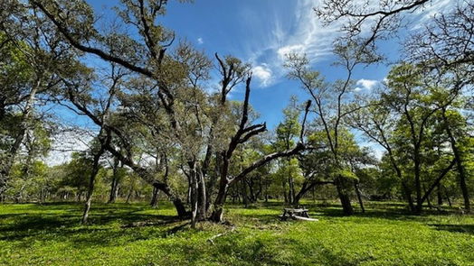 Freeport null-story, null-bed 1405 Brazos River Road-idx