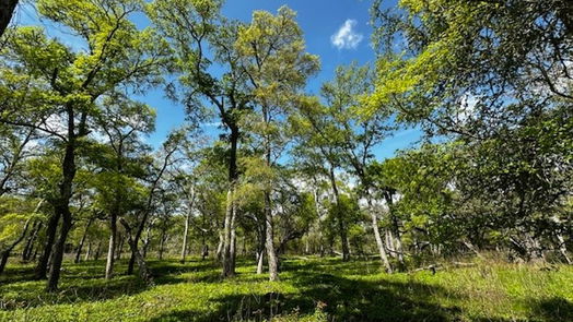 Freeport null-story, null-bed 1405 Brazos River Road-idx