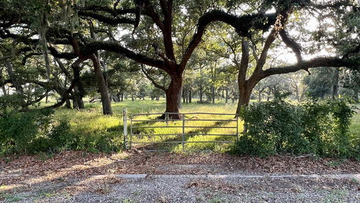 Jones Creek null-story, null-bed 0 BRAZOS RIVER RD CR 400-idx