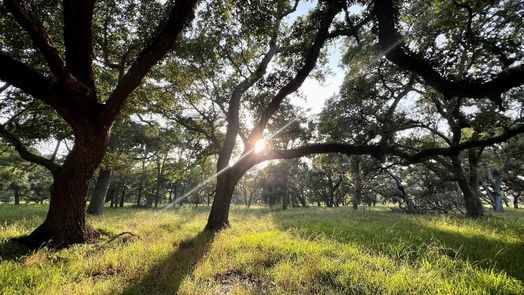 Jones Creek null-story, null-bed 0 BRAZOS RIVER RD CR 400-idx