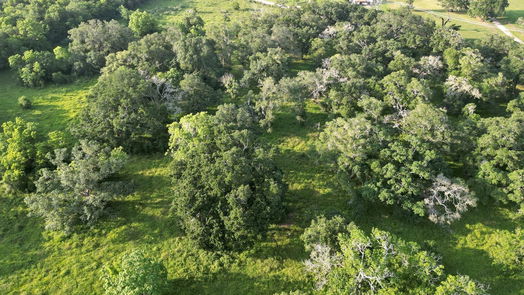 Jones Creek null-story, null-bed 0 BRAZOS RIVER RD CR 400-idx