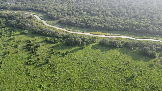 Jones Creek null-story, null-bed 0 BRAZOS RIVER RD CR 400-idx