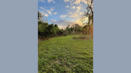 Jones Creek null-story, 3-bed 123 Primrose Road-idx