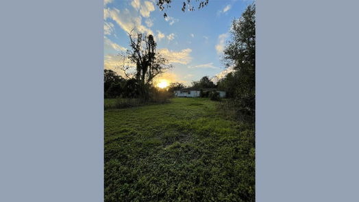 Jones Creek null-story, 3-bed 123 Primrose Road-idx