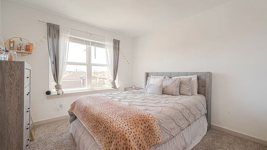 Arcola 2-story, 4-bed 5027 Pine Haven Lane-idx