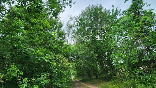 Fresno null-story, null-bed TBD Third St-idx