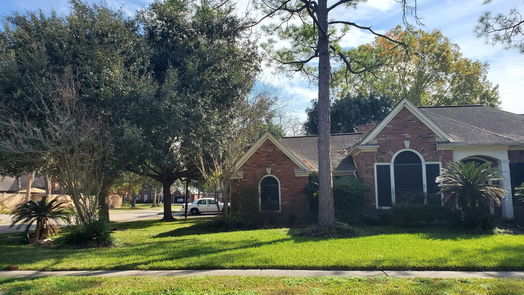 Friendswood 1-story, 4-bed 1301 Blueberry Lane-idx