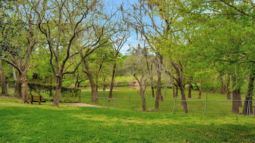 Friendswood 1-story, 4-bed 16906 Creek Line Drive-idx