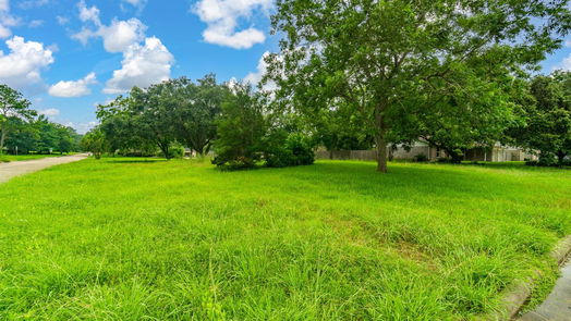 Friendswood 1-story, 3-bed 409 Colonial Drive-idx