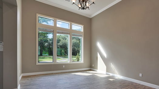 Friendswood null-story, 5-bed 403 W Spreading Oaks Avenue-idx