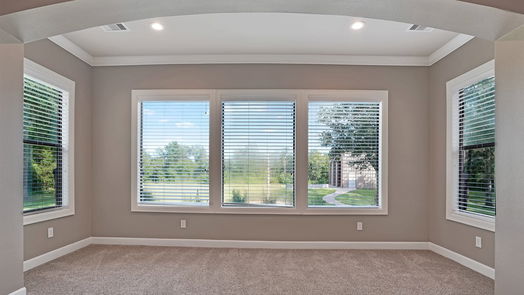 Friendswood null-story, 5-bed 403 W Spreading Oaks Avenue-idx