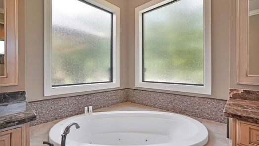 Friendswood null-story, 5-bed 403 W Spreading Oaks Avenue-idx