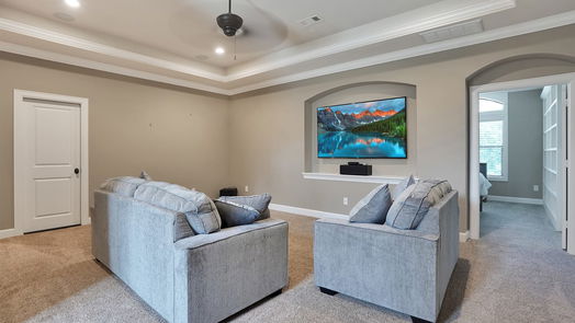 Friendswood null-story, 5-bed 403 W Spreading Oaks Avenue-idx