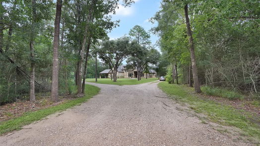 Friendswood null-story, 5-bed 403 W Spreading Oaks Avenue-idx