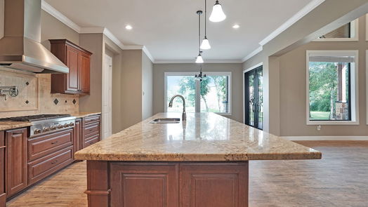 Friendswood null-story, 5-bed 403 W Spreading Oaks Avenue-idx