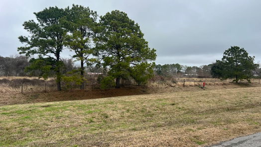 Friendswood null-story, null-bed 1901 Schulte Lane-idx