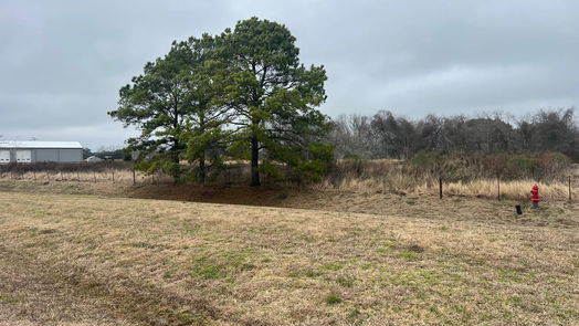 Friendswood null-story, null-bed 1901 Schulte Lane-idx