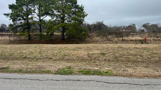Friendswood null-story, null-bed 1901 Schulte Lane-idx