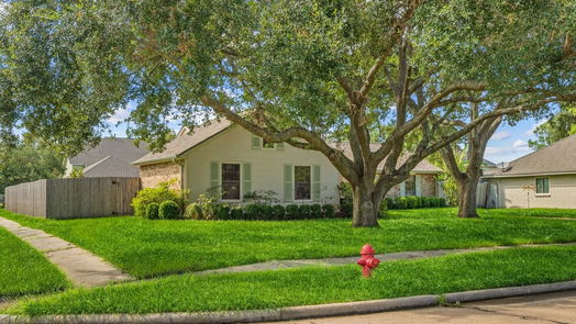 Friendswood 1-story, 3-bed 1313 W Castlewood Avenue-idx