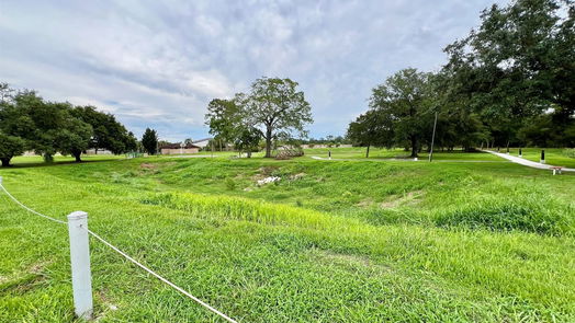 Friendswood 1-story, 4-bed 16711 David Glen Drive-idx