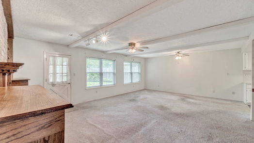 Friendswood 1-story, 3-bed 16414 Tibet Road-idx