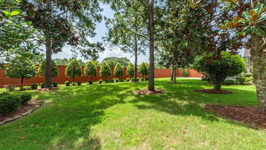 Friendswood null-story, 4-bed 807 Murphy Lane-idx