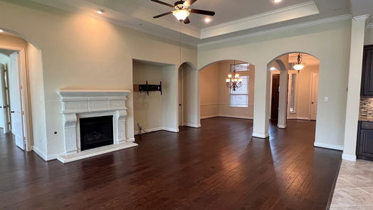 Friendswood 1-story, 4-bed 901 Cactus Ridge CT-idx