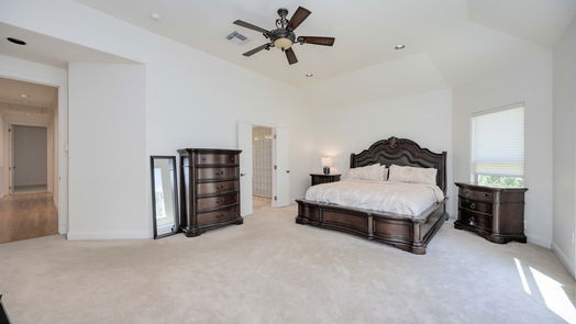 Friendswood 1-story, 4-bed 113 Imperial Drive-idx