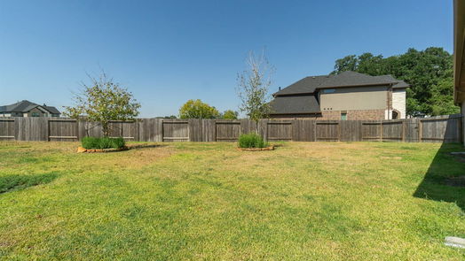 Friendswood 1-story, 4-bed 2572 Ravenna Court-idx